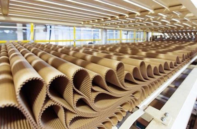 Corrugated Cardboard Industry Sets Out Roadmap Towards Climate Neutrality by 2050